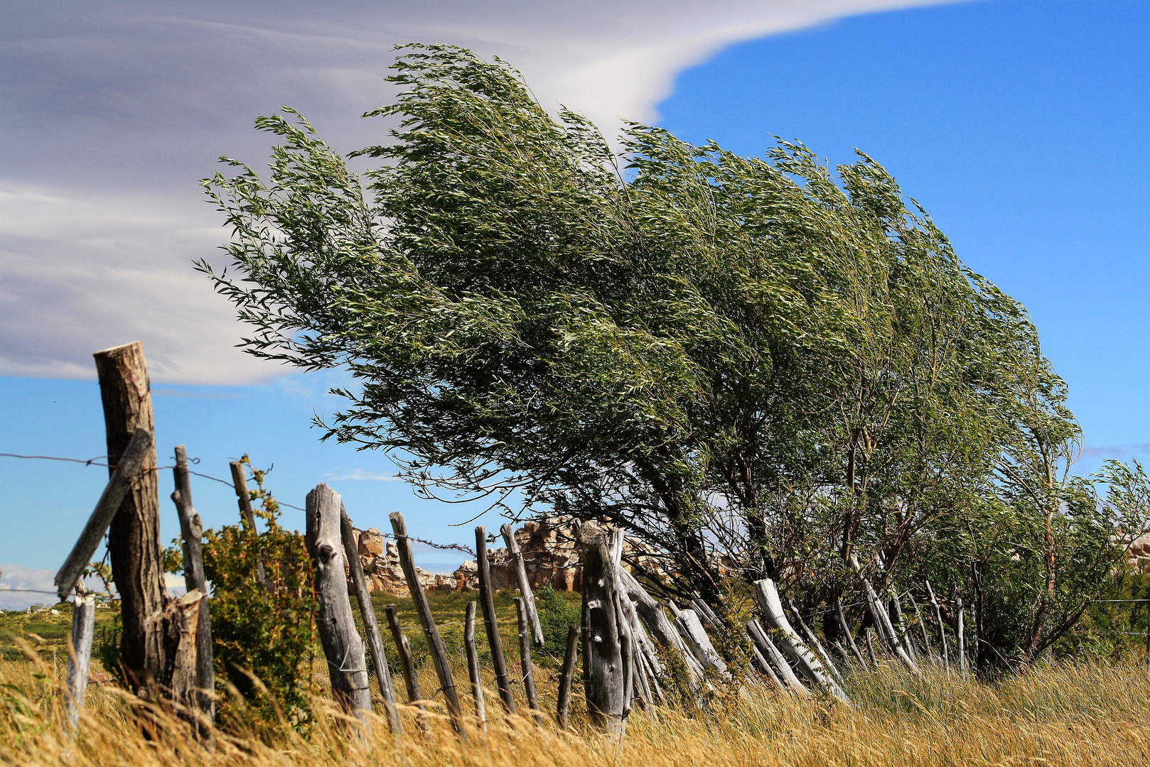 Viento Patagónico