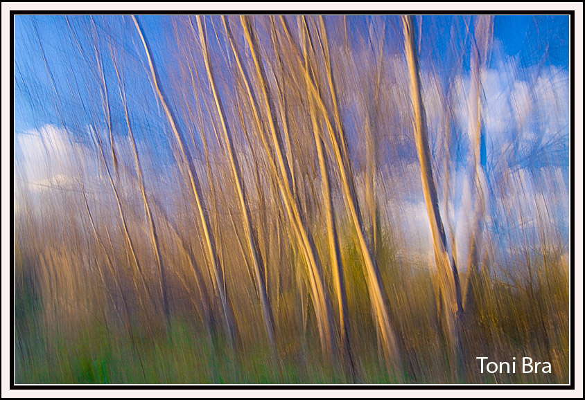 Viento y movimiento