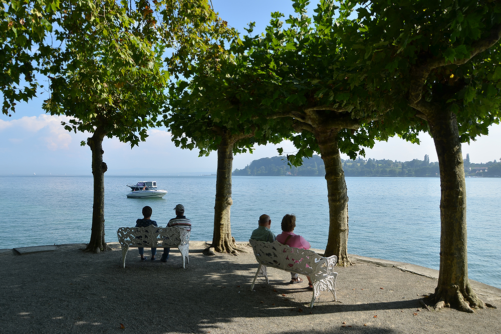 Vier auf der Mainau, Mainau im September