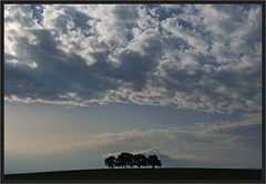 Vier Bäume in der Dämmerung