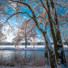 Vier beste Freunde im Schnee