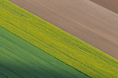 Vier – Felder – Wirtschaft