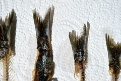 Vier Fischstäbchen