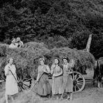 Vier Frauen haben einen Heuwagen mit frischem Gras beladen