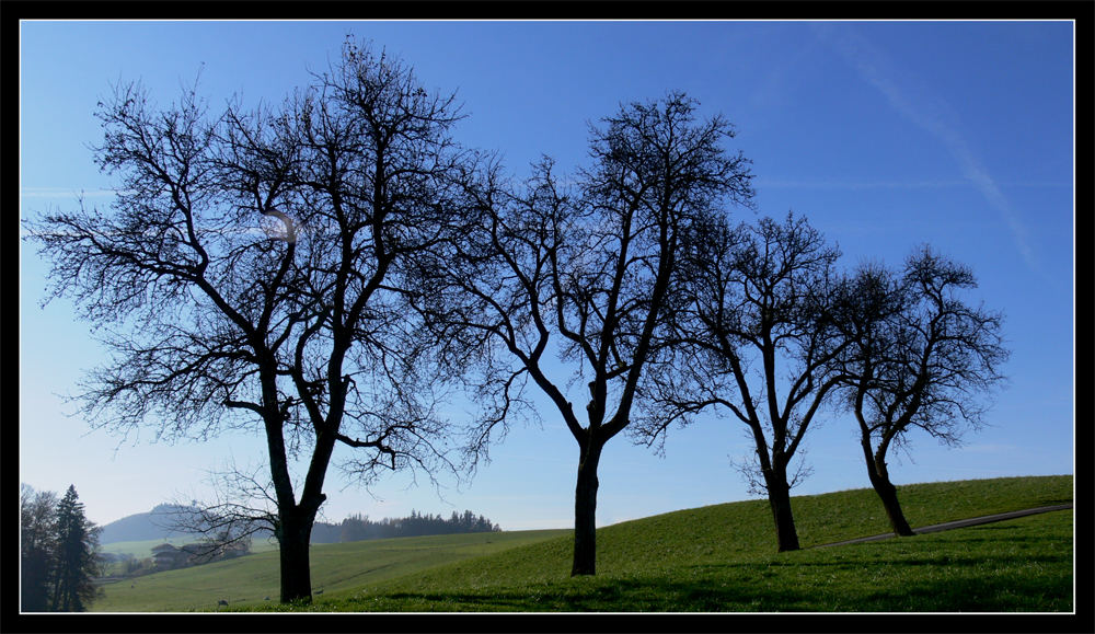 " Vier Freunde "