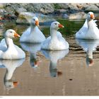 Vier Freunde beim Baden