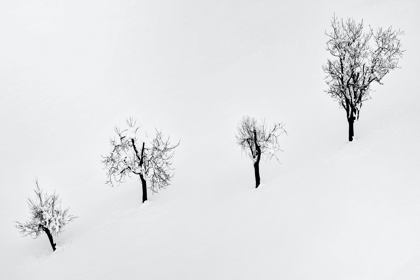 Vier Freunde im Schnee