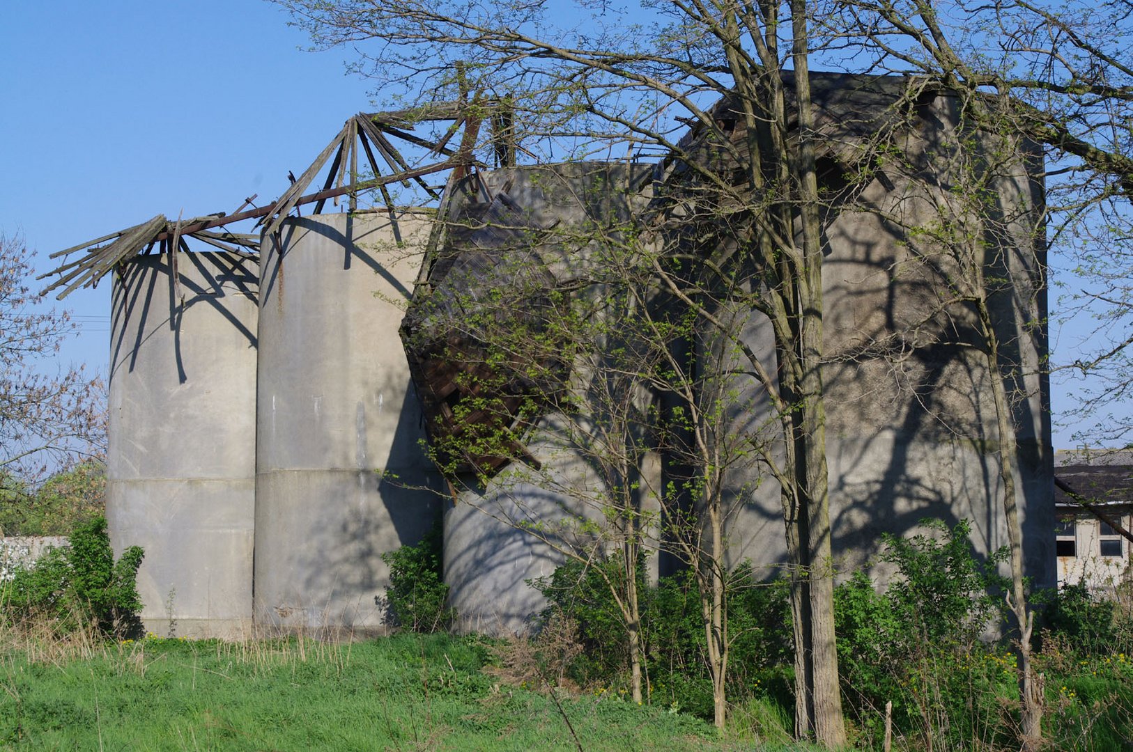 Vier gebeugten Riesen