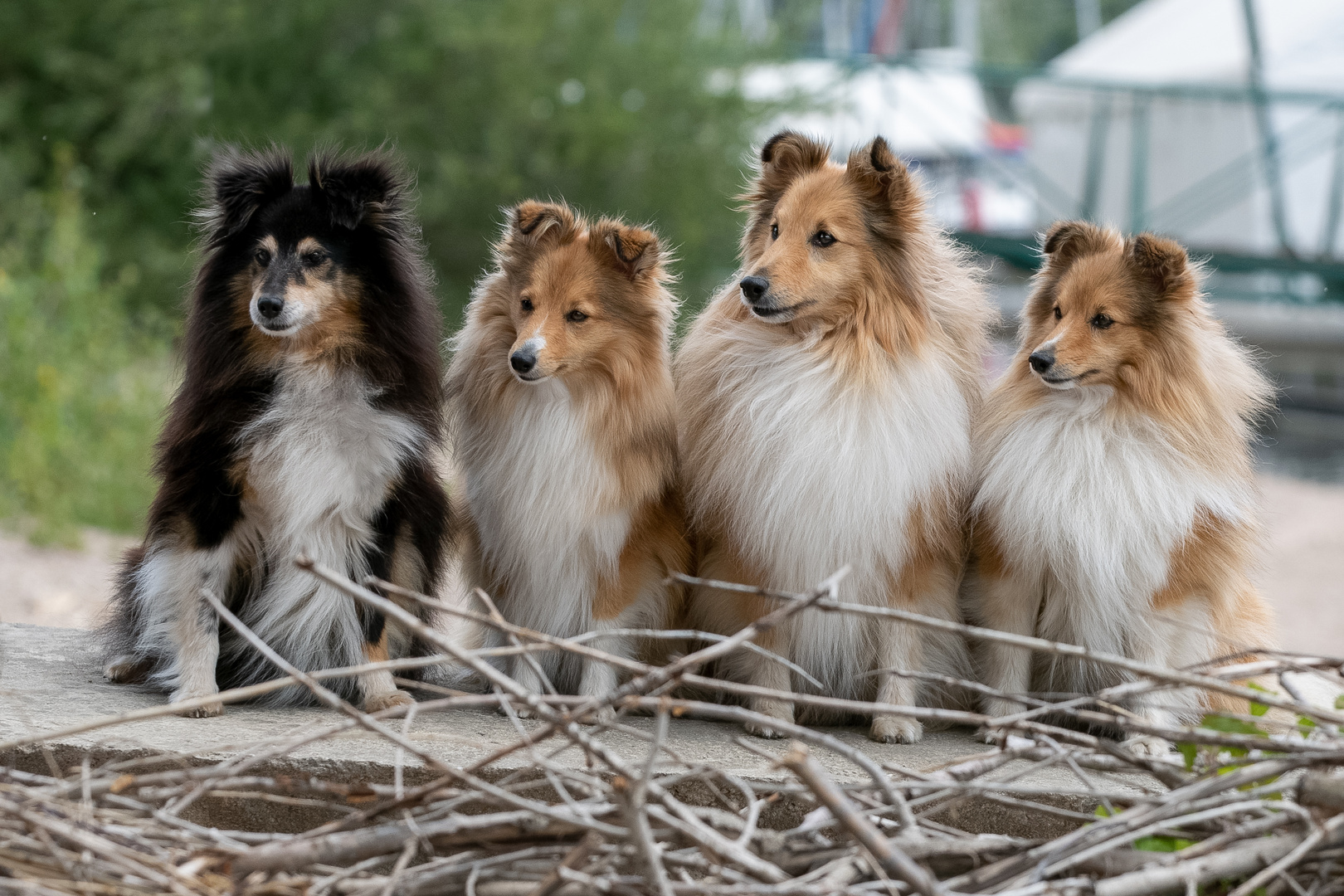 Vier Generationen Portrait