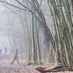 VIER IM NEBELWALD