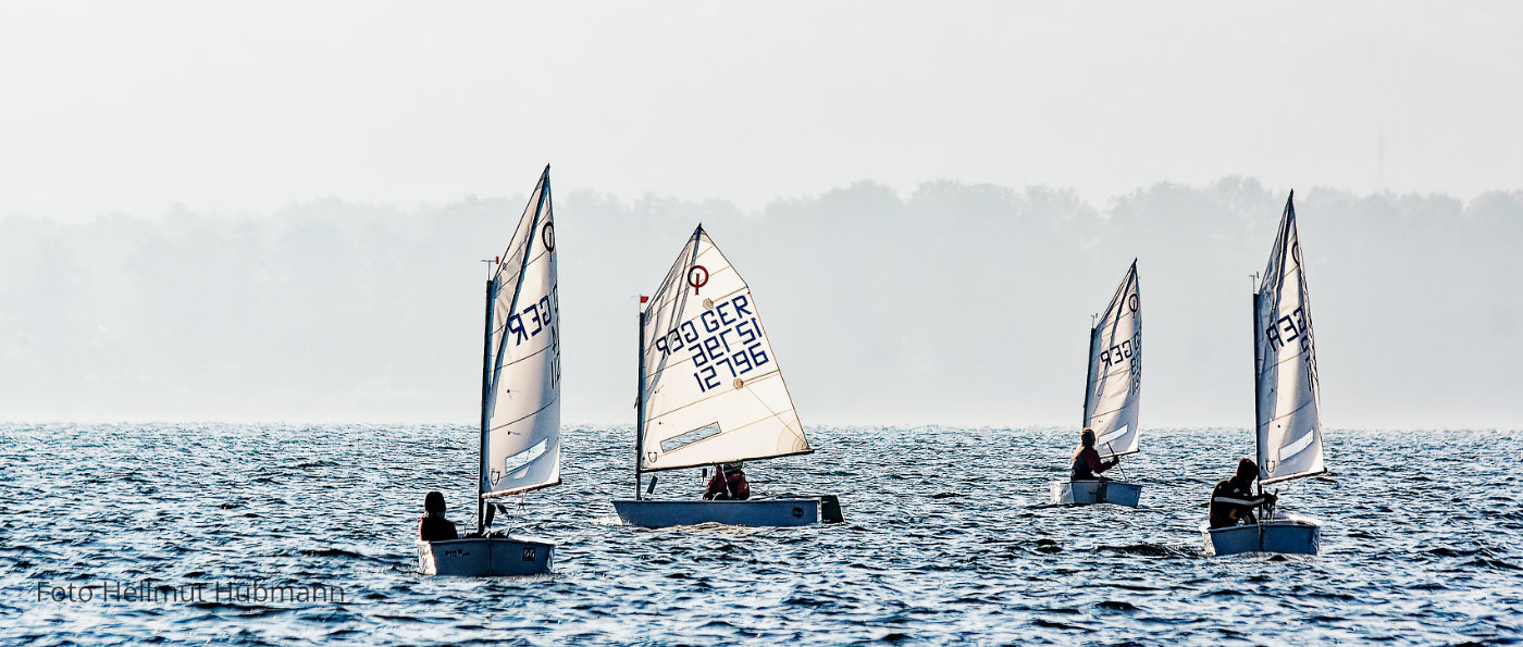 VIER OPTIMISTEN VOR DEM NEBEL