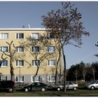 Vier Pkw vorm Haus geparkt mit Schatten teils kahler Bäume