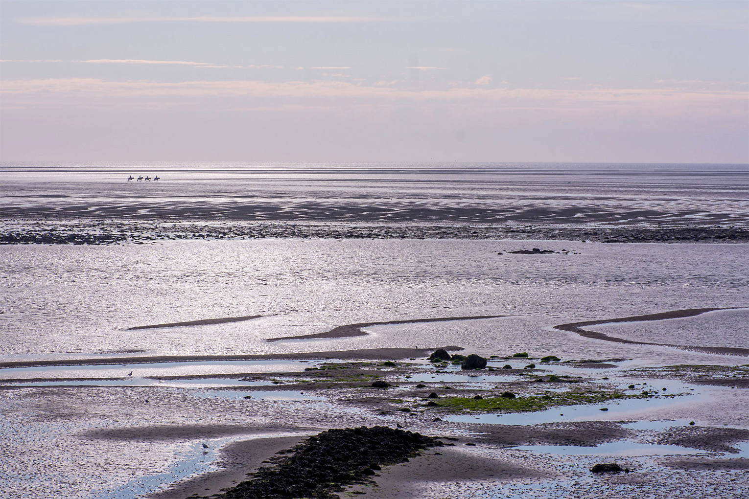 Vier Reiter zwischen Amrum und Föhr