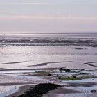 Vier Reiter zwischen Amrum und Föhr