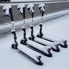 Vier Roller im Schnee