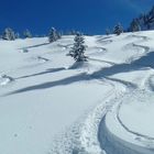 Vier Spuren im Schnee führ´n herab......