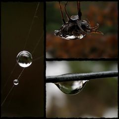 Vier Tropfen von heute