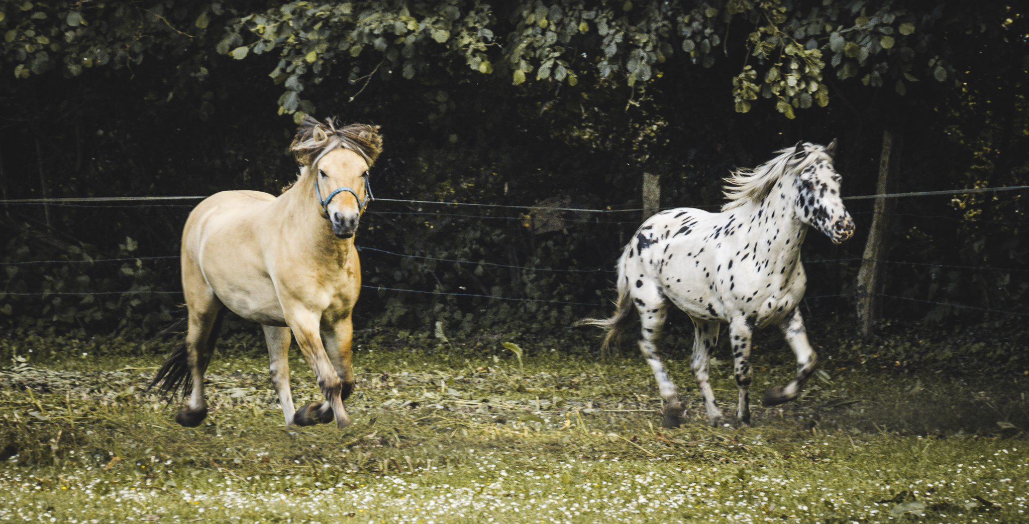 Vier- und Marschlande