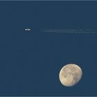 Vier Vögel, ein Flugzeug und ein Mond.