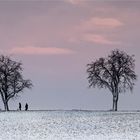 Vier-zwei-zwei