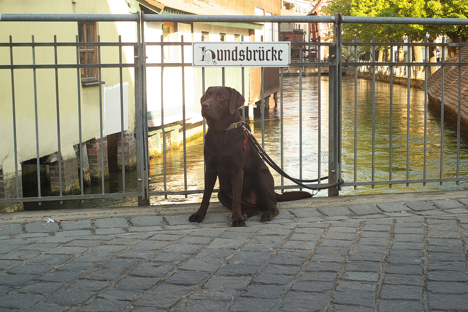 Vierbeiner Brücke