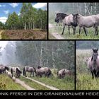 VIERBEINIGE LANDSCHAFTSPFLEGER