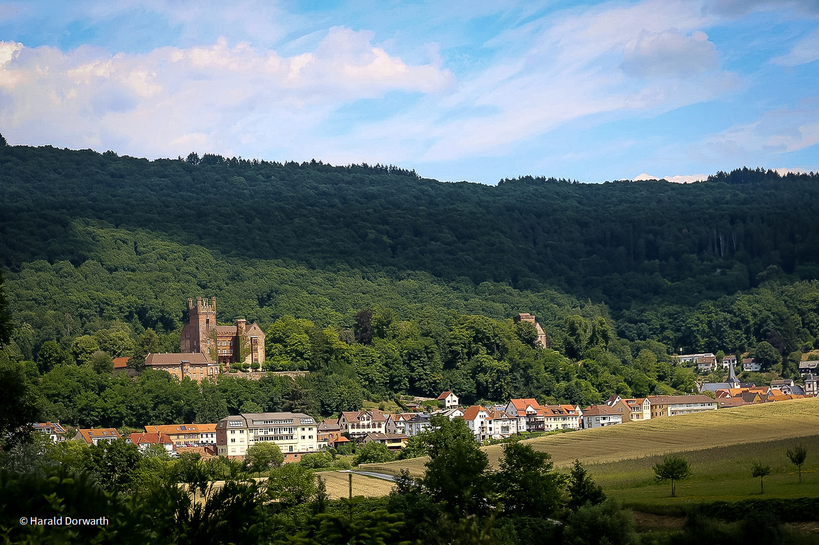 Vierburgenstadt Neckarsteinach