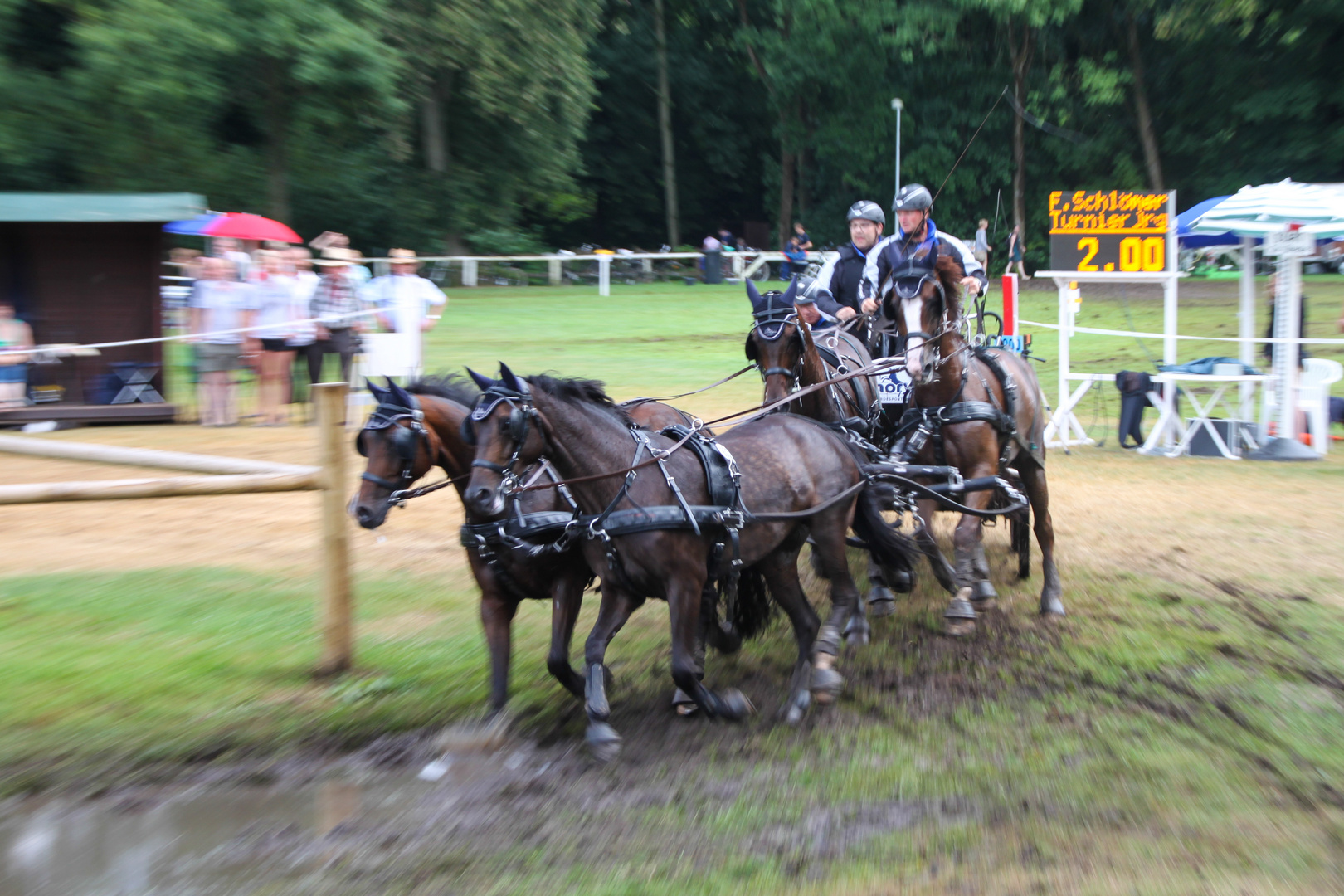 Viererzug am Wasser - Rastede 2013