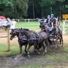 Viererzug am Wasser - Rastede 2013