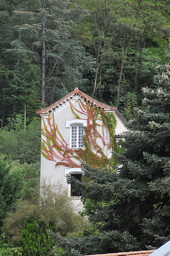 Vierge d'automne