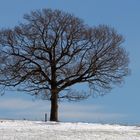 VierJahresZeiten - Winter I