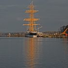 Viermastbark PASSAT bei abendlicher Sonne in Travemünde