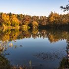 Viernheimer Anglersee