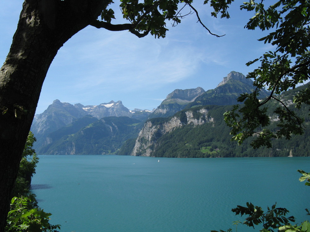 Vierwaldstätter See (Schweiz)