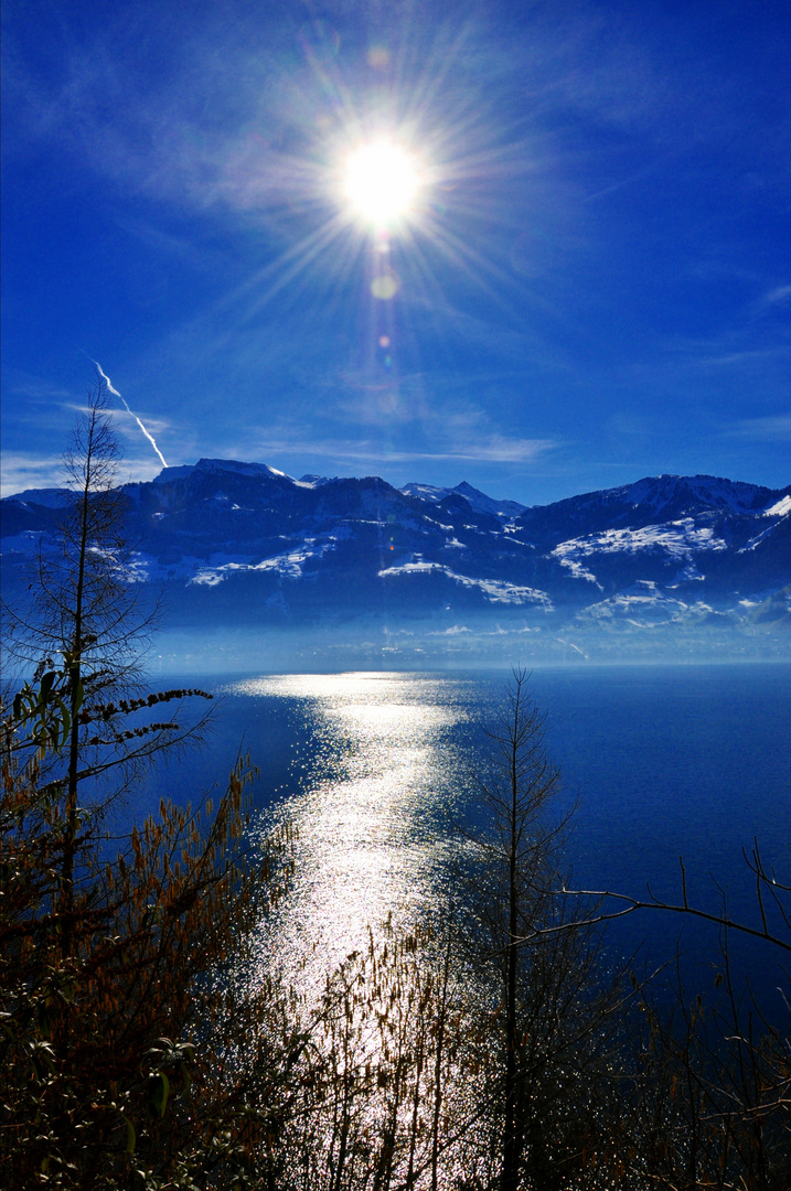 Vierwaldstättersee