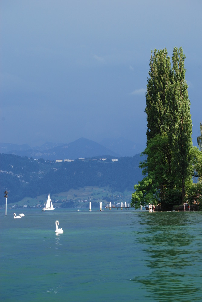 Vierwaldstättersee