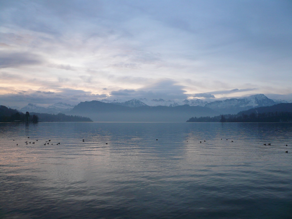 Vierwaldstättersee am Morgen