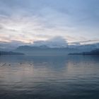 Vierwaldstättersee am Morgen