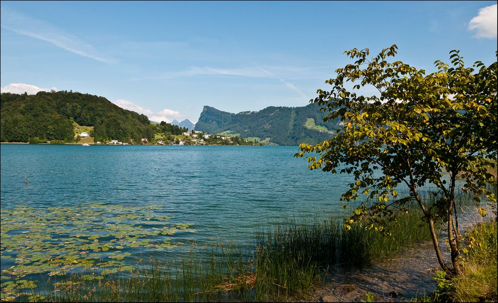 Vierwaldstättersee / Horwerbuch