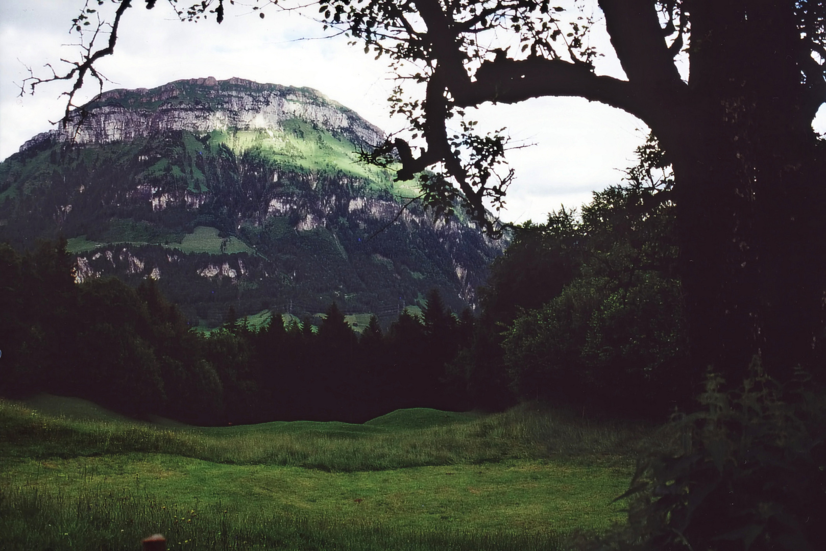 Vierwaldstättersee II