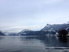 Vierwaldstättersee IIII