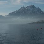 Vierwaldstättersee im Januar