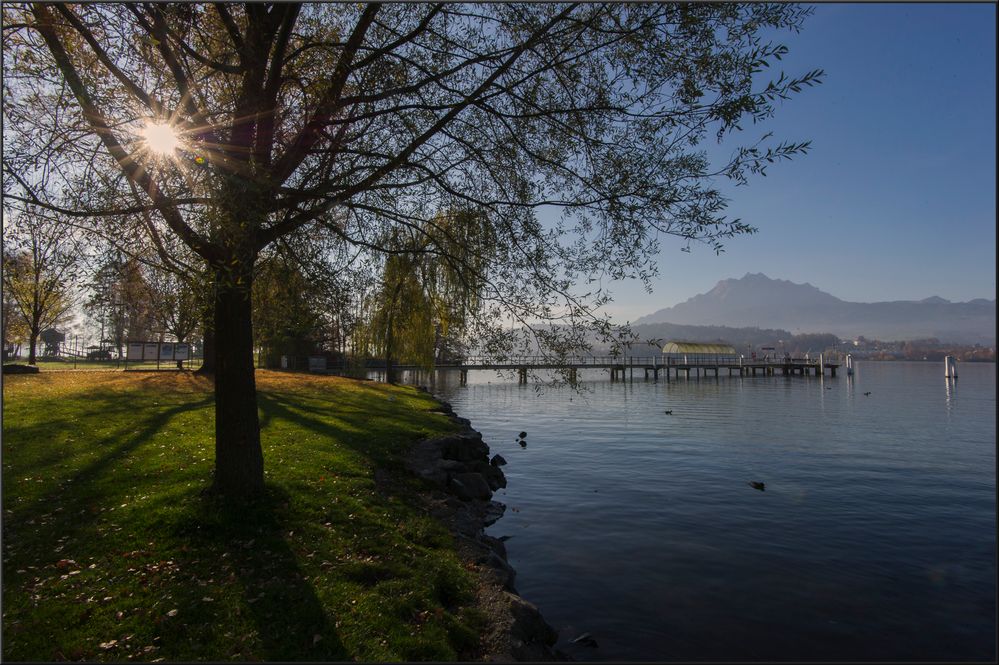 Vierwaldstättersee in seiner schönsten Pracht