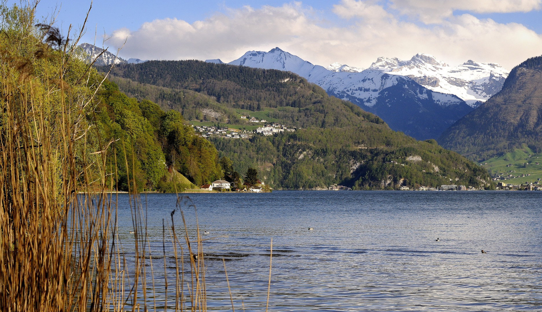 Vierwaldstättersee mit Blick auf Fürigen.