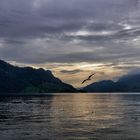 Vierwaldstättersee-Stimmung