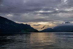 Vierwaldstättersee-Stimmung