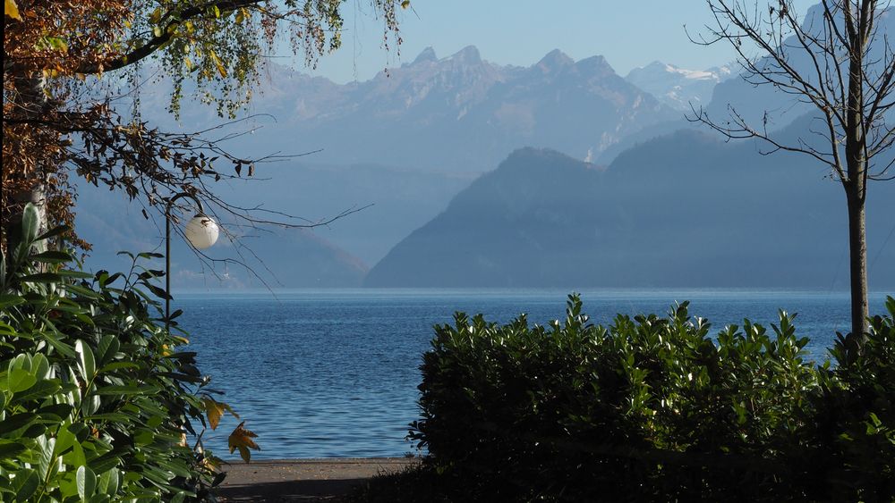 Vierwaldstättersee vom Richard Wagner Park aus