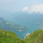 Vierwaldstättersee von oben