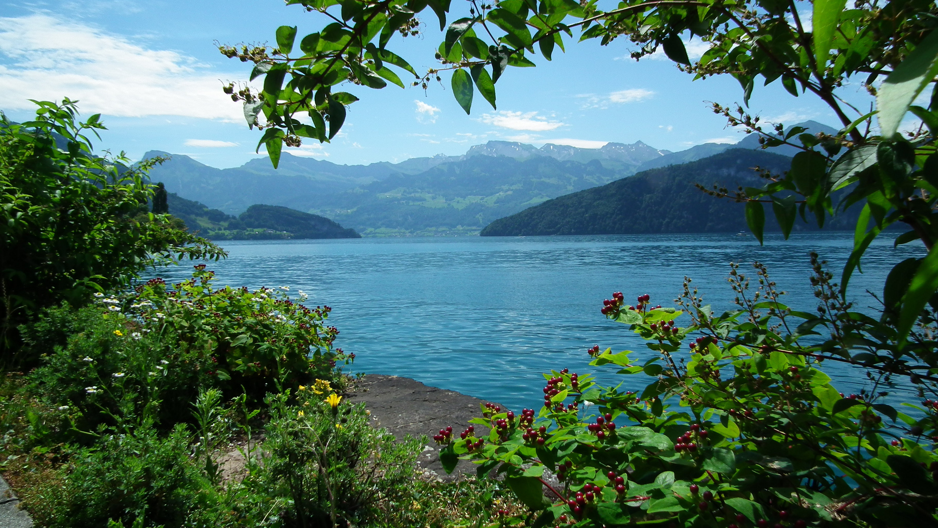 Vierwaldstättersee / Weggis