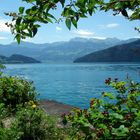 Vierwaldstättersee / Weggis